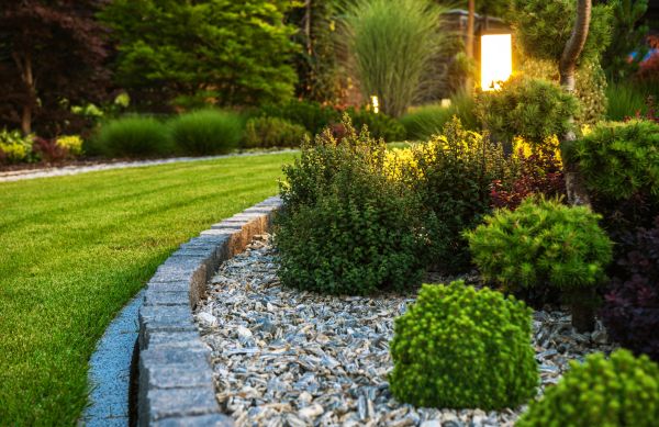 Cost of Bush Relocation in Turlock