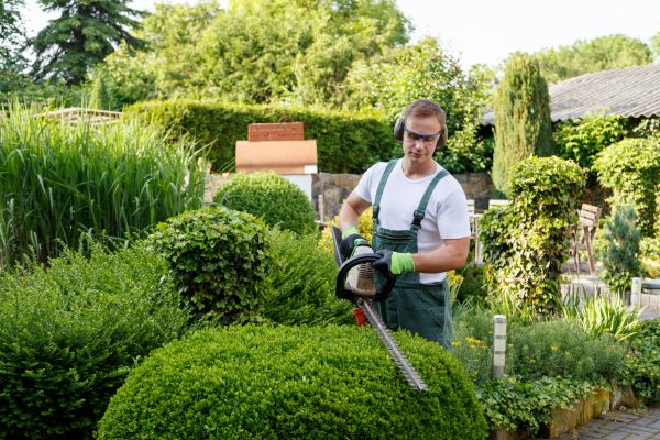 Shrubs Trimming in Turlock