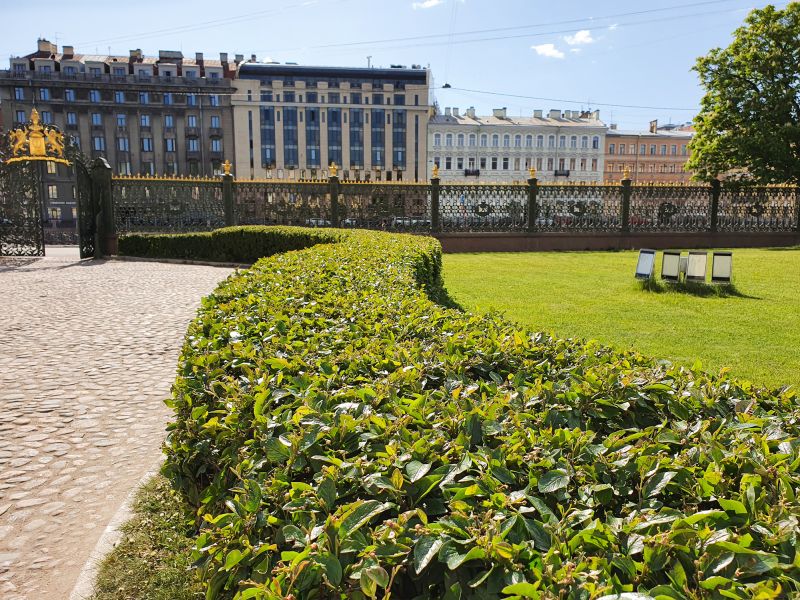 Recently Trimmed Shrubs