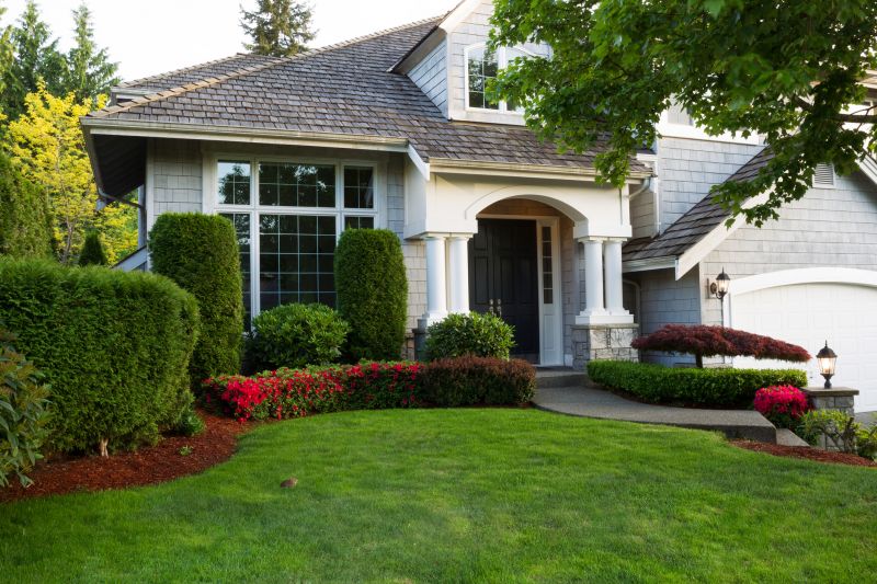 Shrubs with Symmetrical Pruning